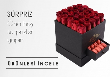 https://www.mutevazicicek.com/